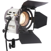 TUNGSTENE FRESNEL 300W