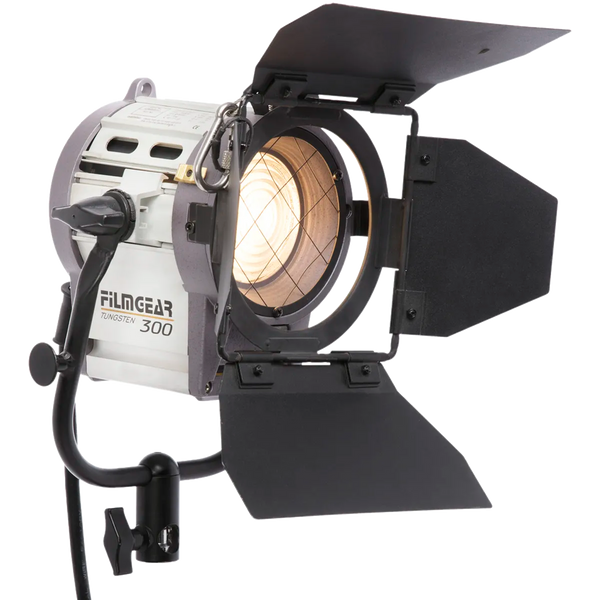 TUNGSTENE FRESNEL 300W