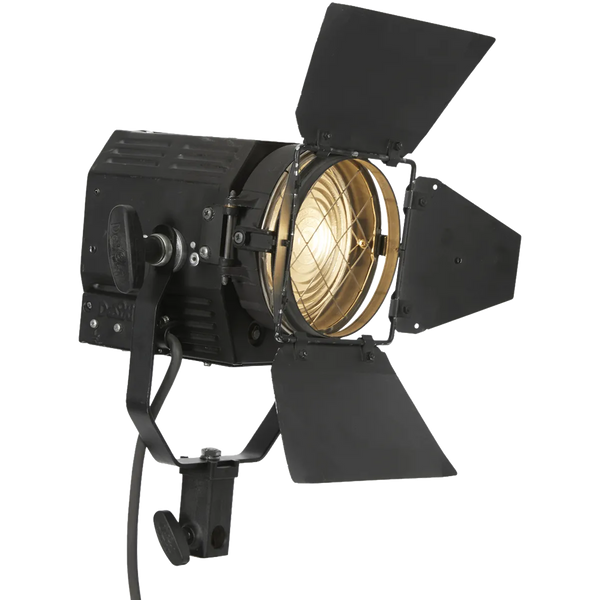 TUNGSTENE FRESNEL 500W