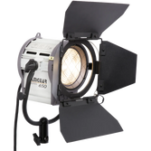 TUNGSTENE FRESNEL 650W
