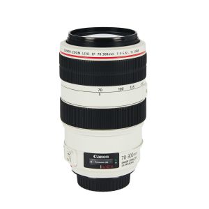 CANON 70-300mm f/4-5.6 L IS USM